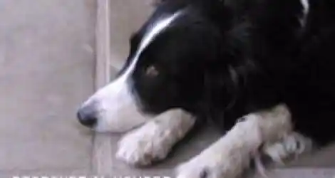Buscan a Luna