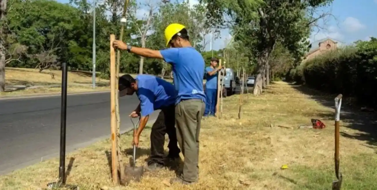 La forestación es una de las medidas de compensación habituales en las ciudades. Crédito: Municipalidad de Rosario