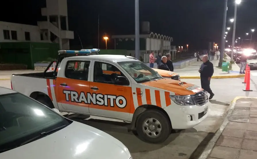 Licencias de conducir falsas