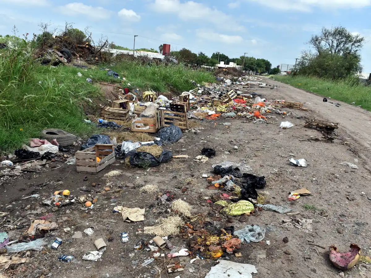 Minibasurales: algo hay que hacer