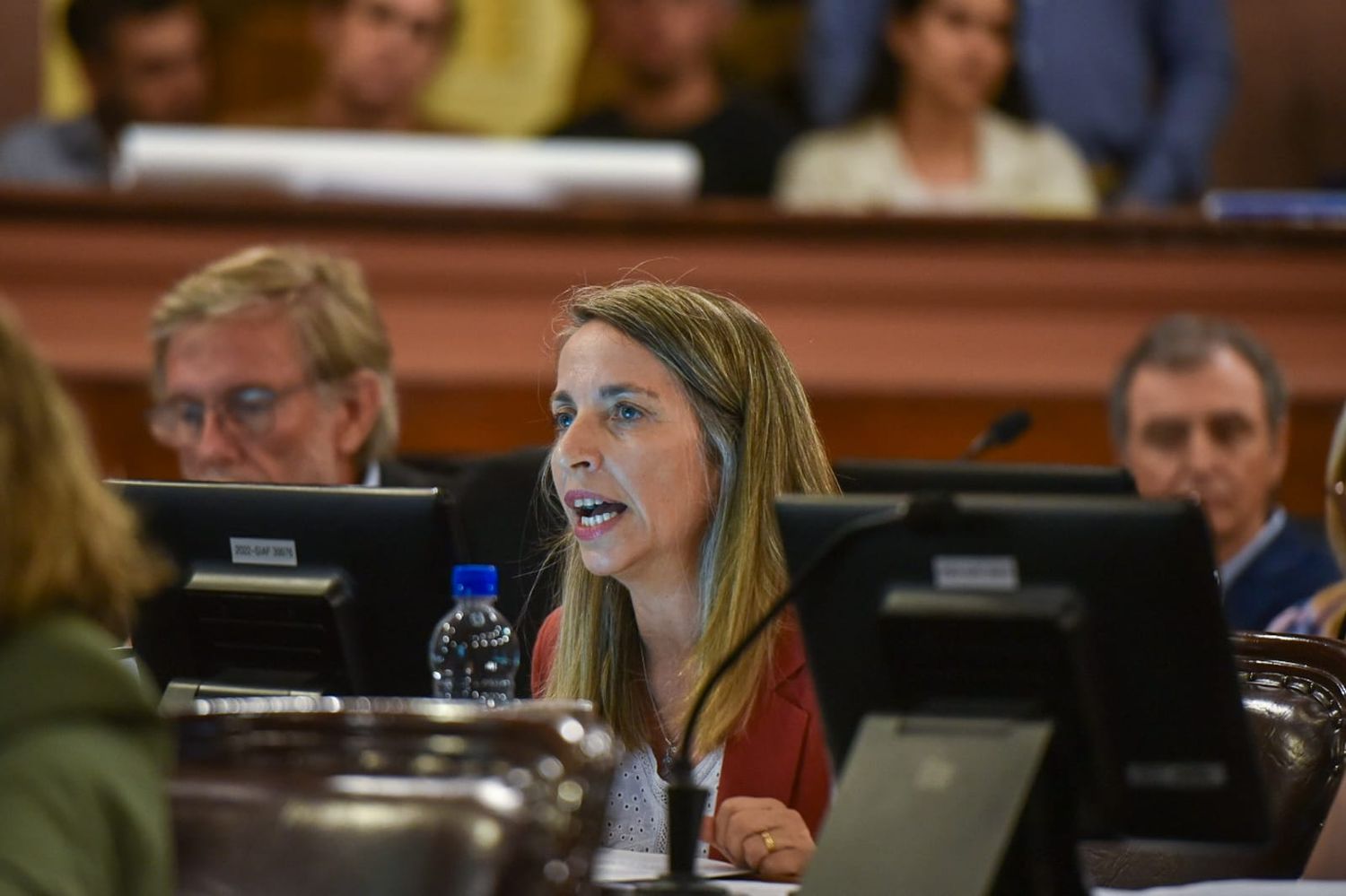 Diputados del bloque “Más Para Entre Ríos” sostuvieron un dictamen propio sobre la reforma electoral