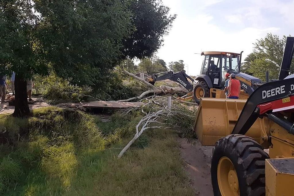 Fuertes ráfagas de viento ocasionaron destrozos, horas sin luz y caída de varios árboles en Maggiolo