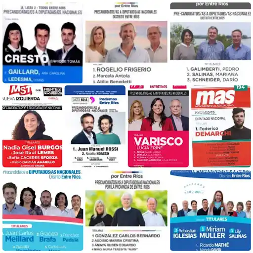 PASO: los entrerrianos podrán optar entre diez boletas