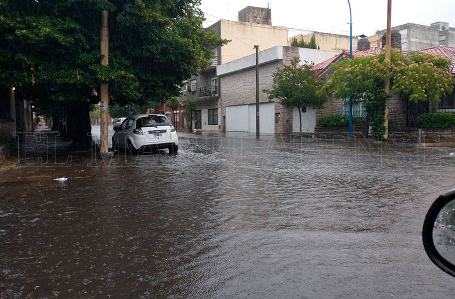 Temporal en Mar del Plata: cortes de luz, caída de árboles e inundaciones