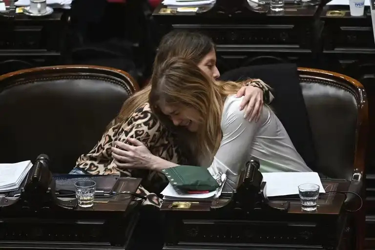Fue durante la sesión en la que se debatía un proyecto para ampliar el Registro de Datos Genéticos.