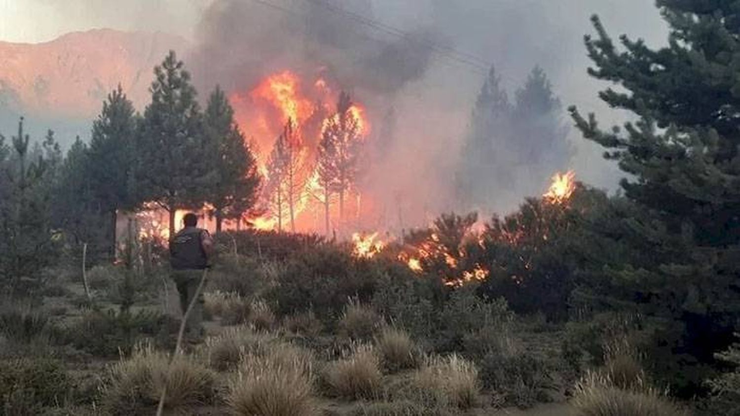 Las altas temperaturas reavivaron los focos de incendio en El Bolsón