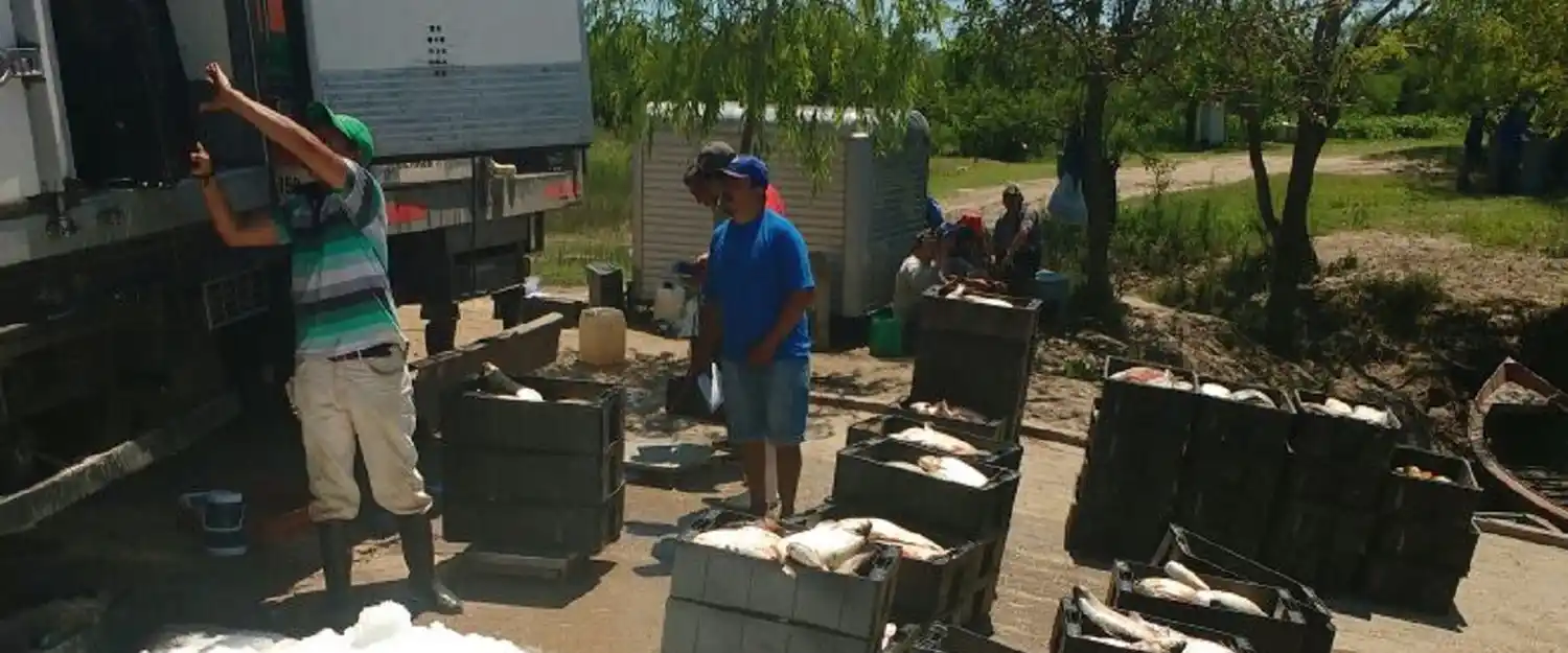 La Gobernación se hizo cargo de la depredación en el Uruguay y tomará medidas