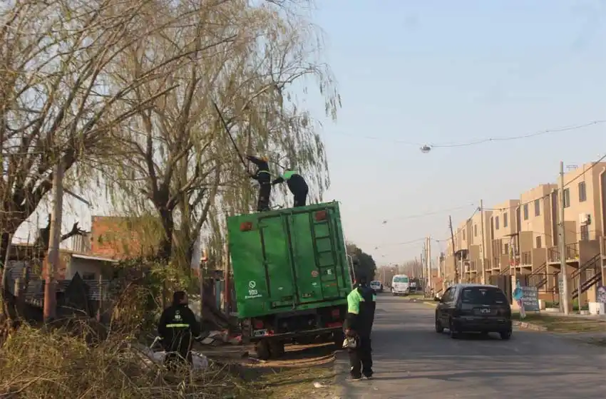 Habrá un corte de tránsito Francia al 800 por la extracción de un árbol