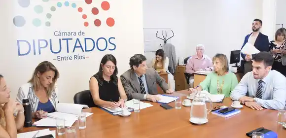 “La reforma de la estructura policial de la provincia  tiene como objetivo su reorganización y modernización”