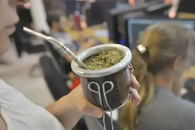 Tomar mate será más caro: aumenta el precio de la yerba