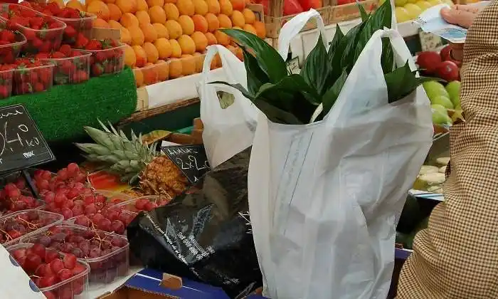 Se trabaja para reglamentar la prohibición de uso de bolsas plasticas
