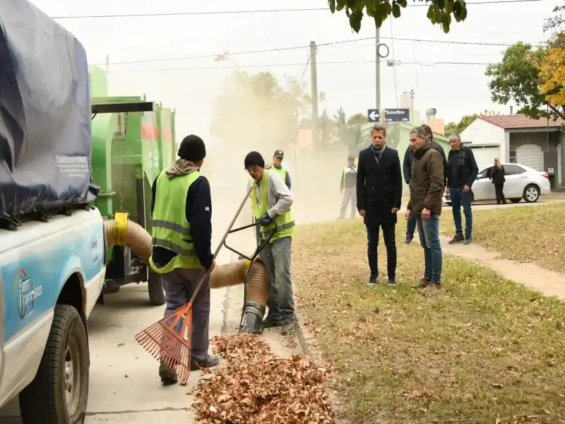 Arranca la recolección de hojas en la ciudad. (Archivo)