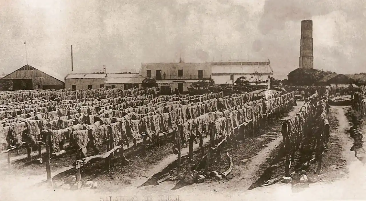 FABRICAS DE GUALEGUAYCHÚ - 6