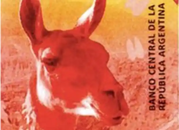 Comienza a circular el billete de $20 con la imagen de un guanaco: Los detalles
