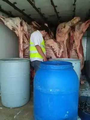 Decomisaron más de 4400 kilos de alimentos