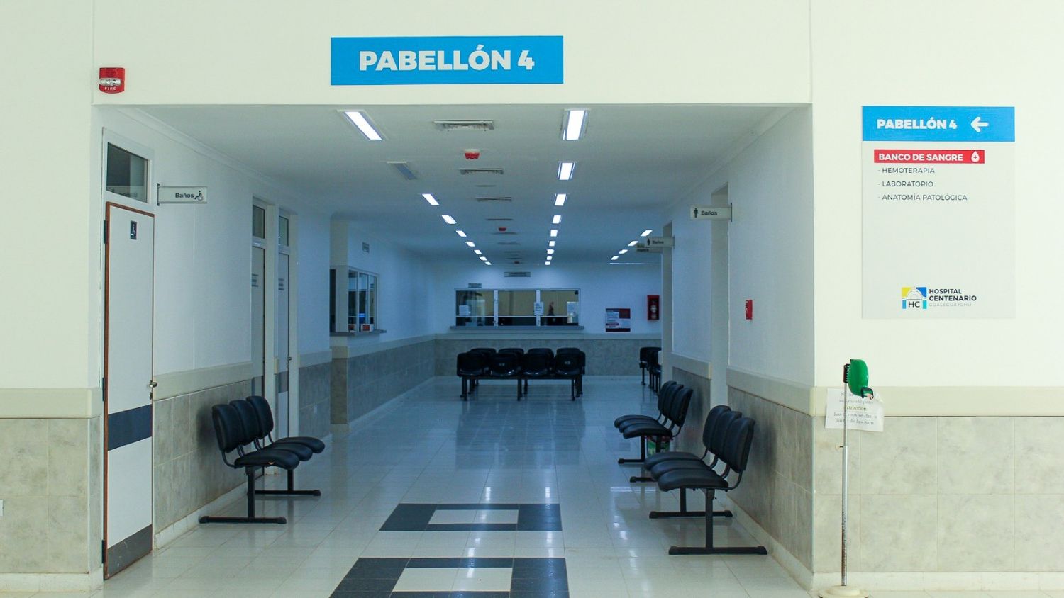 El Banco de Sangre insta a sumarse al registro de donantes de médula ósea