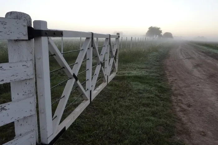 Campo. Mercado inmobiliario rural