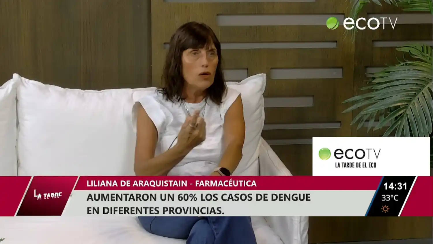 Aumentaron un 60% los casos de Dengue en diferentes provincias