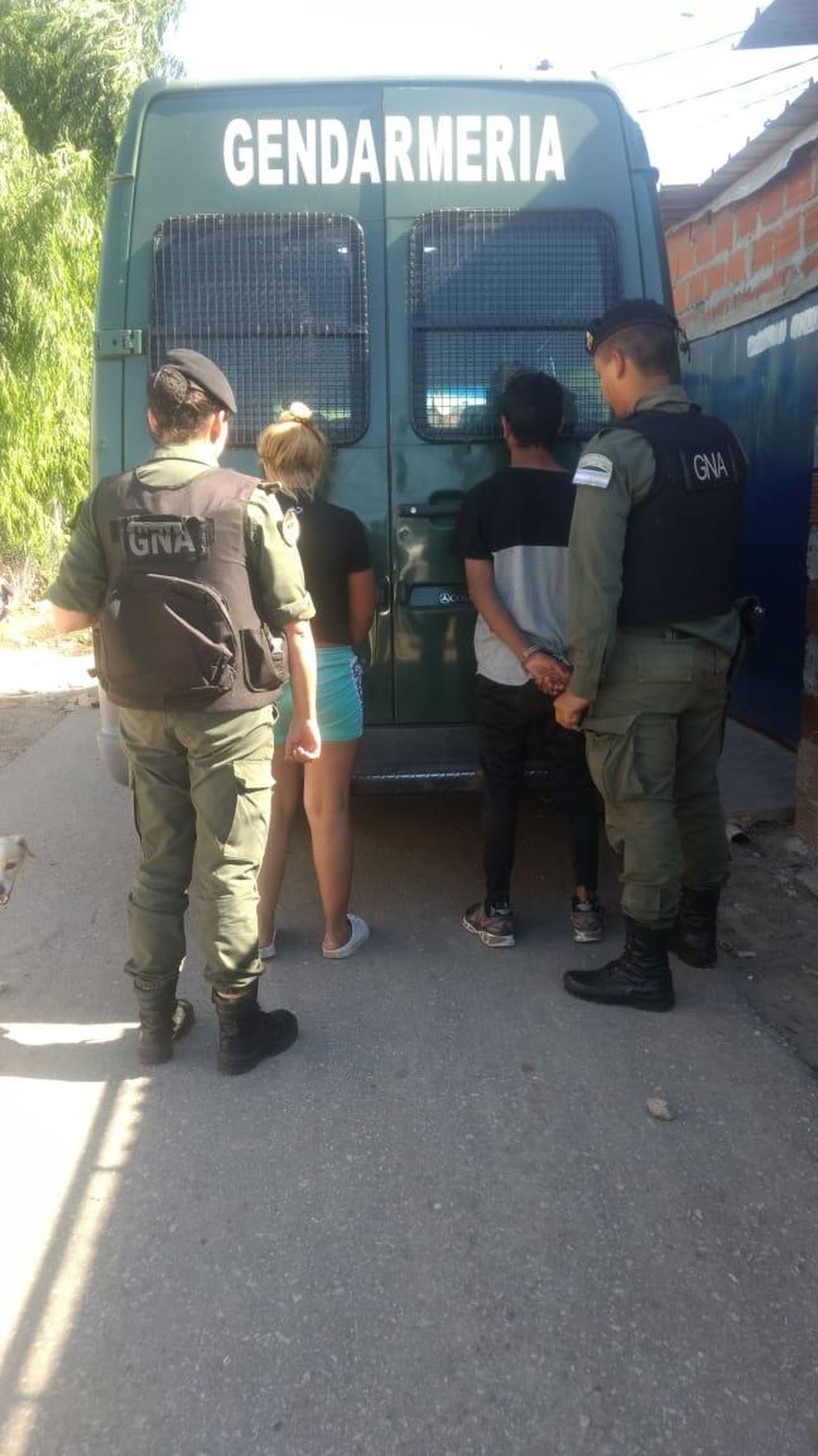 Desmantelaron un vivero de marihuana en Santo Tomé