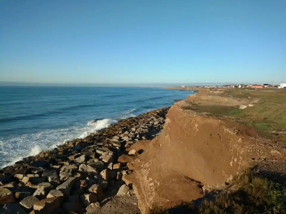 Mar del Plata, un yacimiento paleontológico único en Sudamérica