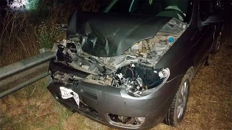 Un automóvil impactó contra un ternero que se le atravesó en la ruta 20