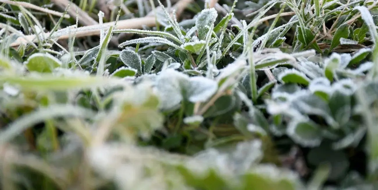El campo enfrentará pocas lluvias y un nuevo ingreso de aire polar con heladas