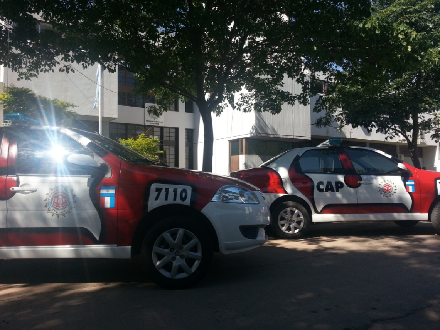  Morteros: detuvieron a un ladrón de ganado 