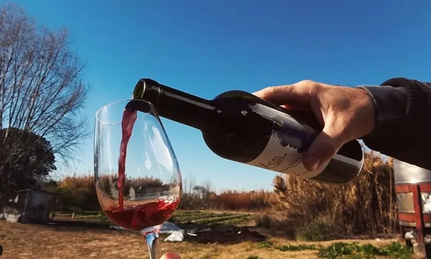 Fin de semana a puro vino bonaerense: Mercedes y Berisso convocan a los amantes de esta bebida