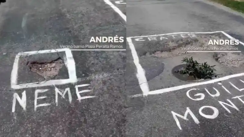 Baches
