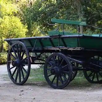 Los mal llamados “carros rusos”: una historia de ingenio, adaptación y pertenencia