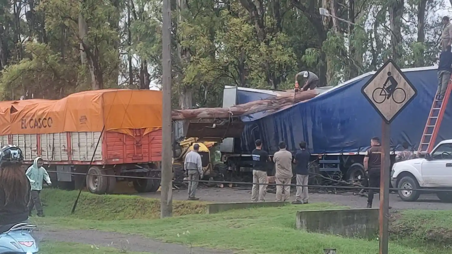 La enorme rama cayó sobre dos acoplados estacionados en la playa de Arcor en horas de la madrugada.