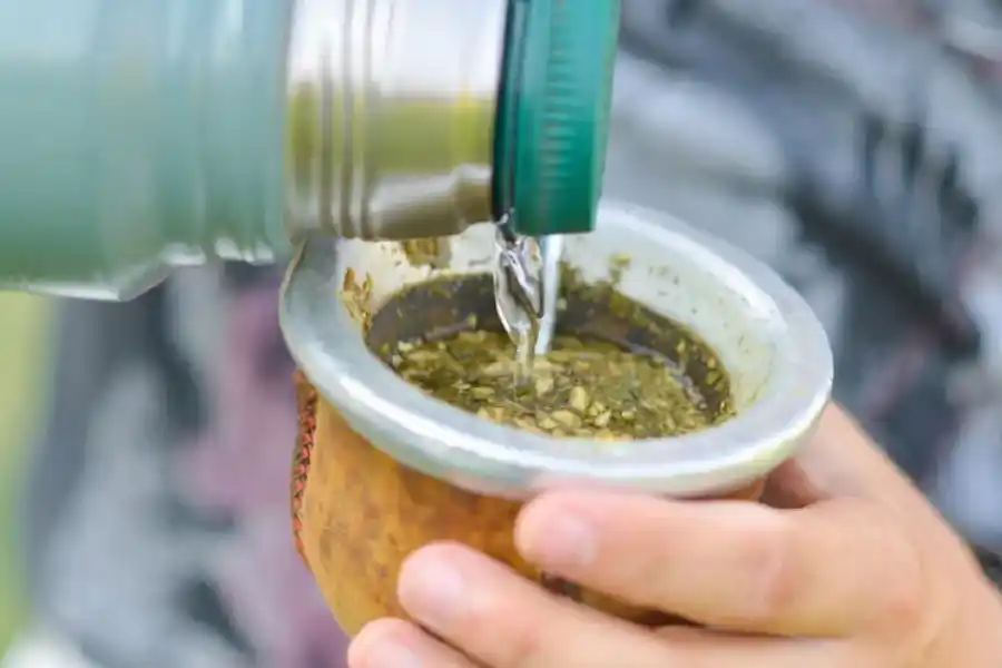 Tremenda conclusión de cúal es mejor: joven comparó los dos termos más usados por los argentinos