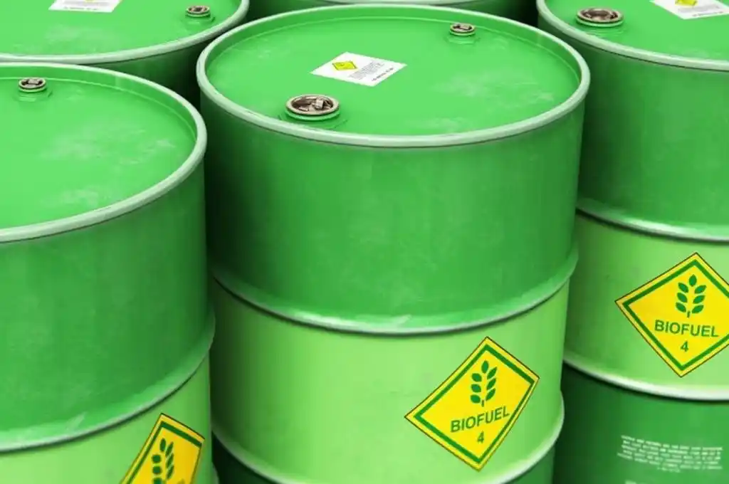 Proponen aumentar el uso de biocombustibles ante la faltante de gasoil