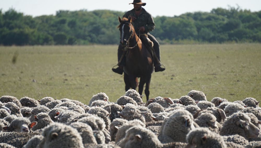 El Renatre aumenta en un 21,24% la prestación por desempleo para los trabajadores rurales