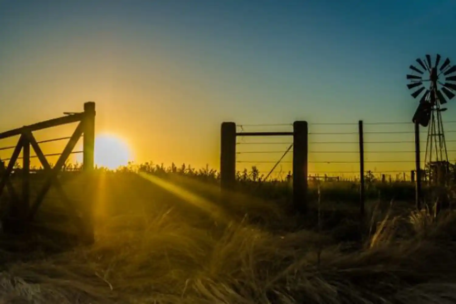 Se actualizó el Impuesto Inmobiliario Rural 2025 en Entre Ríos: subas moderadas y destino exclusivo a caminos rurales