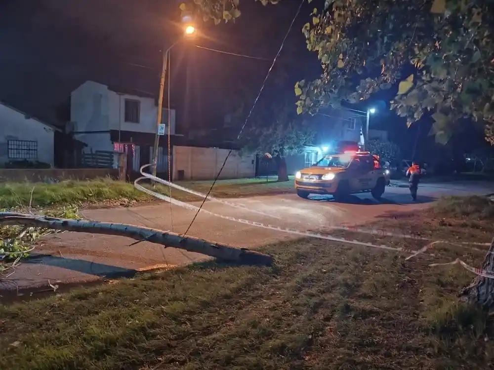 Árboles y postes de luz caídos producto del temporal.
