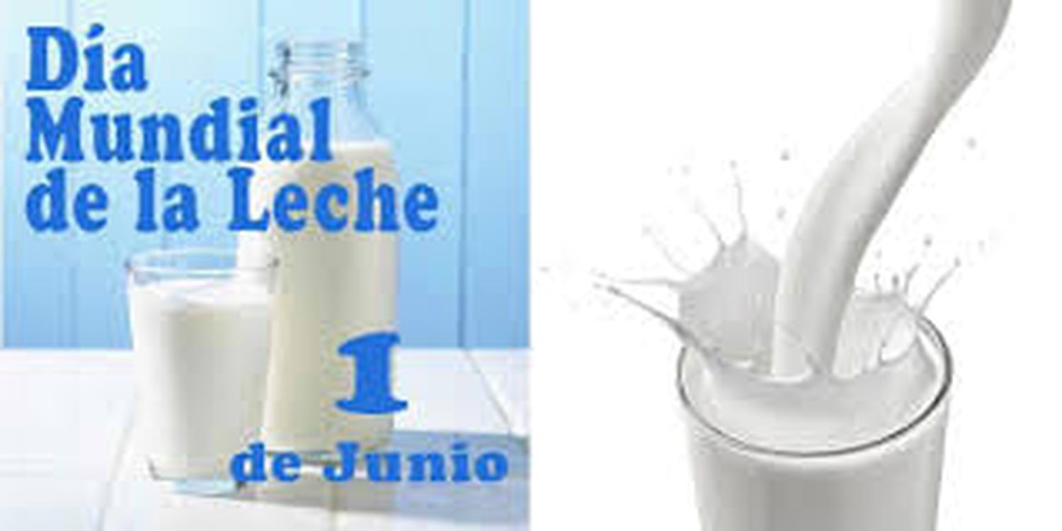 Claudia Fuentes: Leche, mitos y verdades | Buenas y Santas