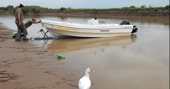 Cuatro pescadores fueron atacados por un enjambre de abejas y pasaron varias horas perdidos