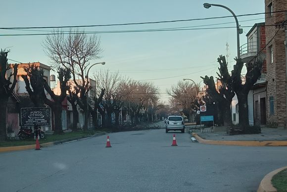 ¿Poda en septiembre, cuando las plantas tiene brotes?