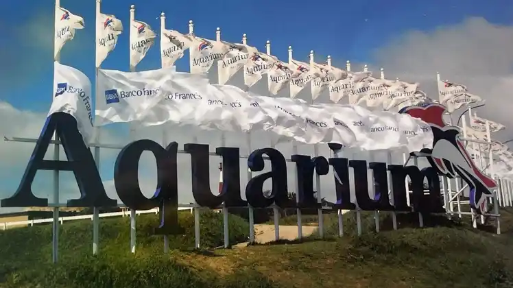 aquarium mar del plata