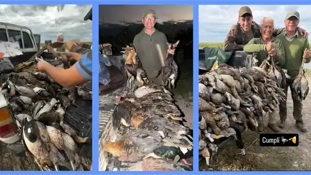 Masacre de fauna en el norte santafesino: investigan la caza ilegal de más de 300 animales