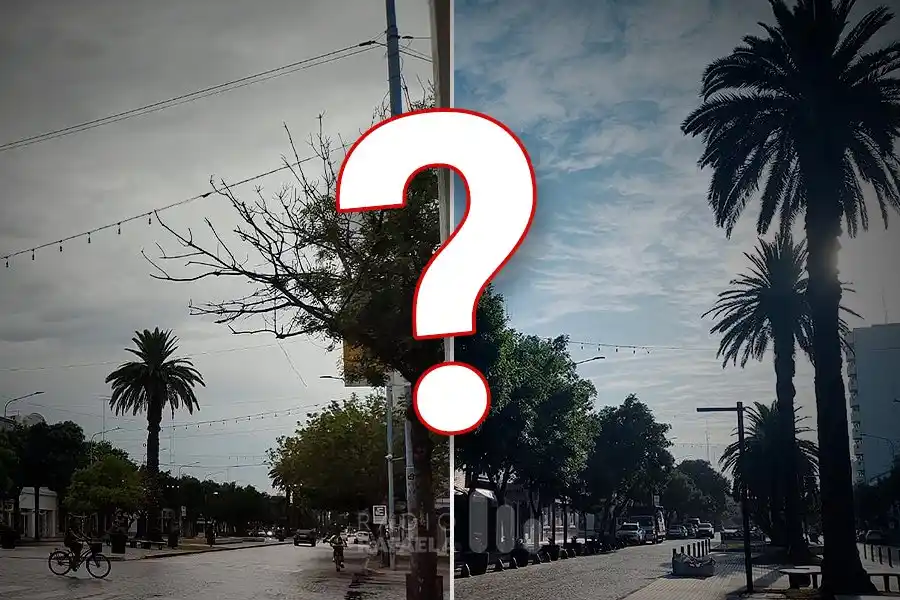 ¿Mesa al aire libre o dentro de casa? El clima para esta Nochebuena y Navidad