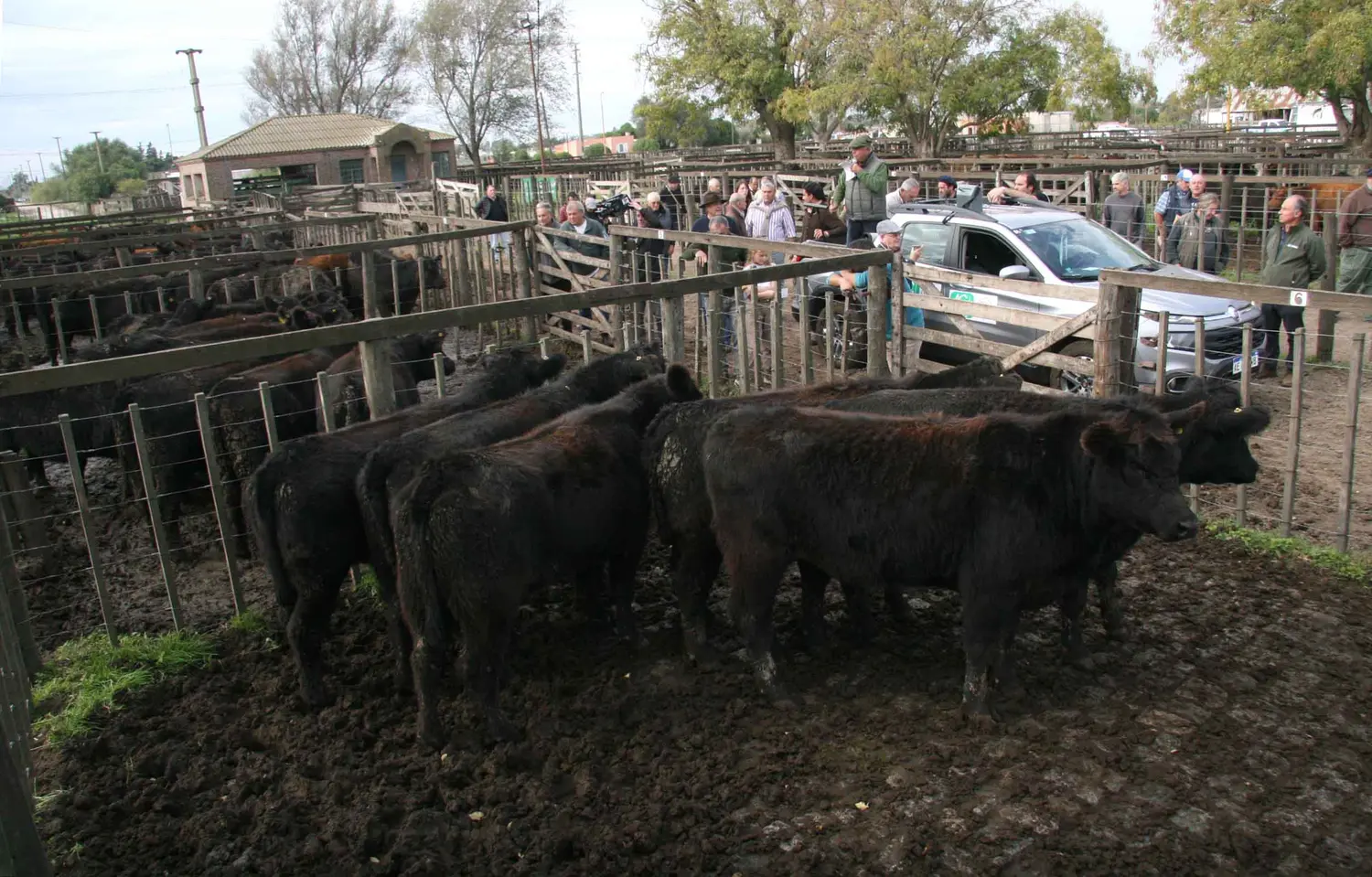 Se viene el viernes de feria de Los Arzoz