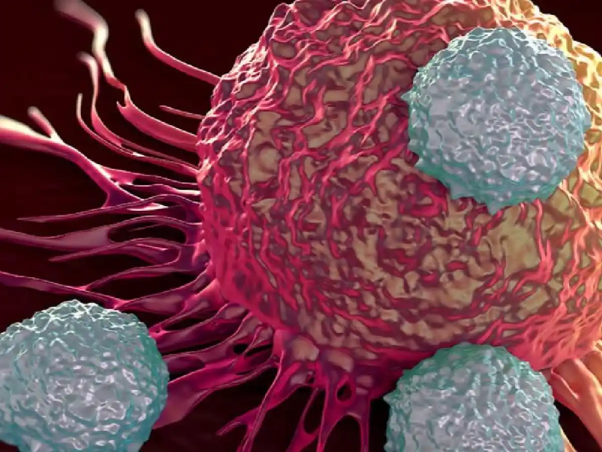 El cáncer progresa de forma "alarmante" en el mundo, según la OMS.