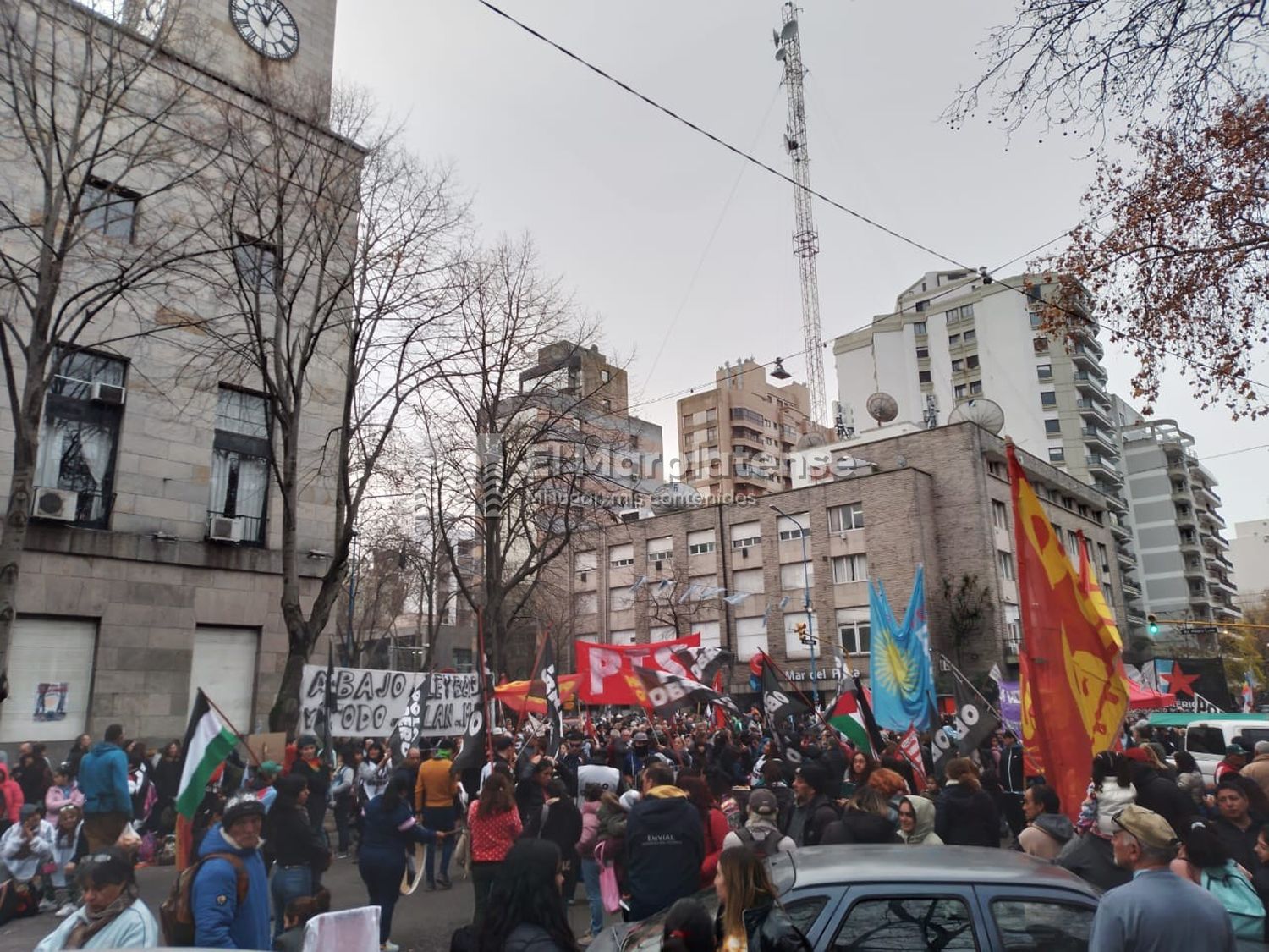 marcha ley bases