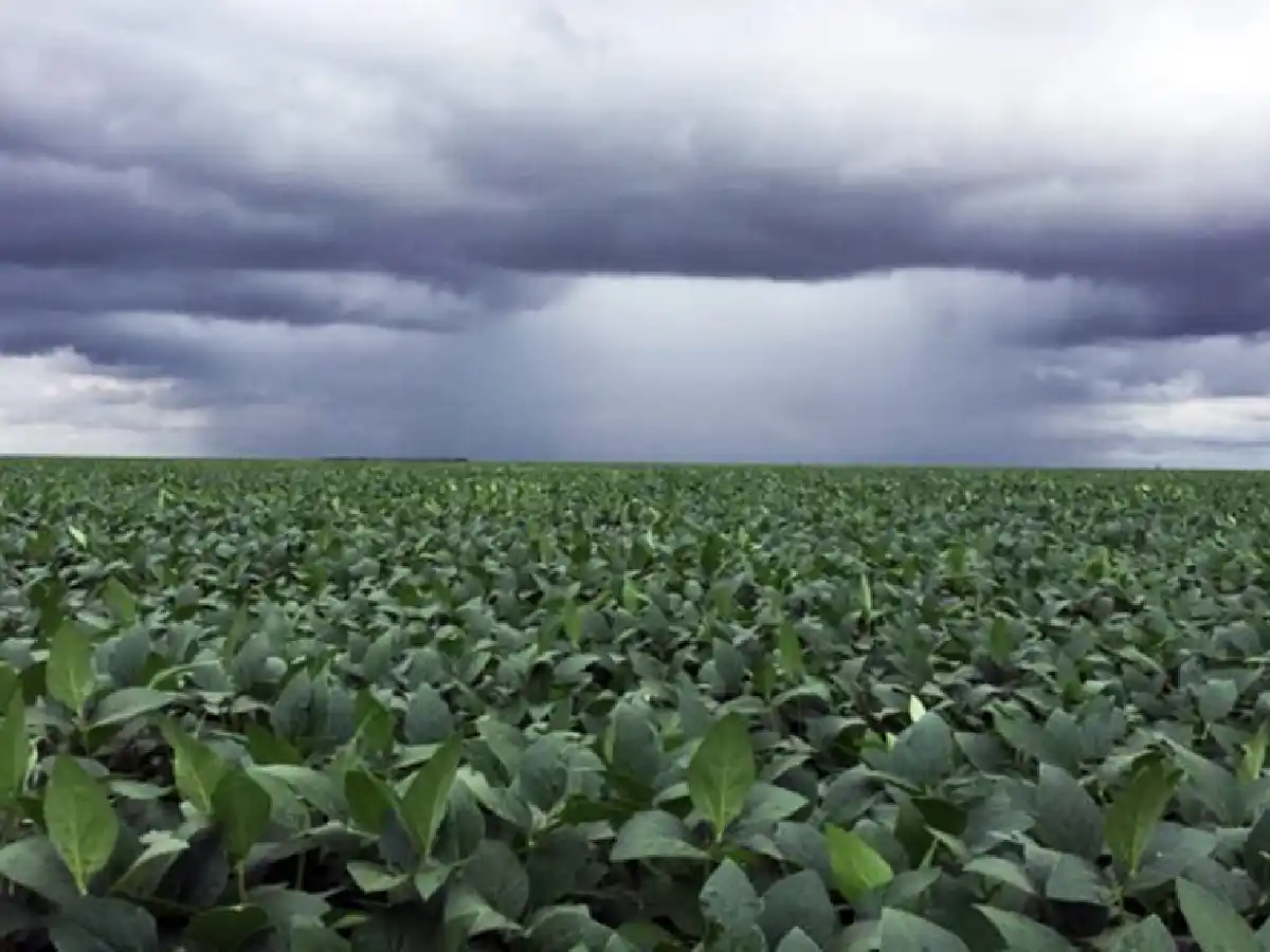 Lluvias mejoran las reservas en once provincias: Córdoba recibió la menor cantidad de agua    