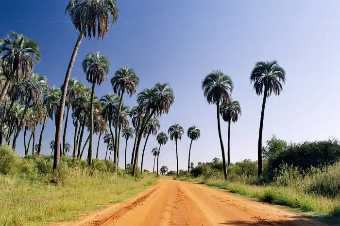 Todo el color y la naturaleza del Noreste