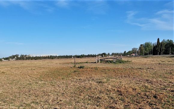 Areneras en terrenos de Indalar: abogado ambientalista reveló la problemática que atraviesan en Entre Ríos