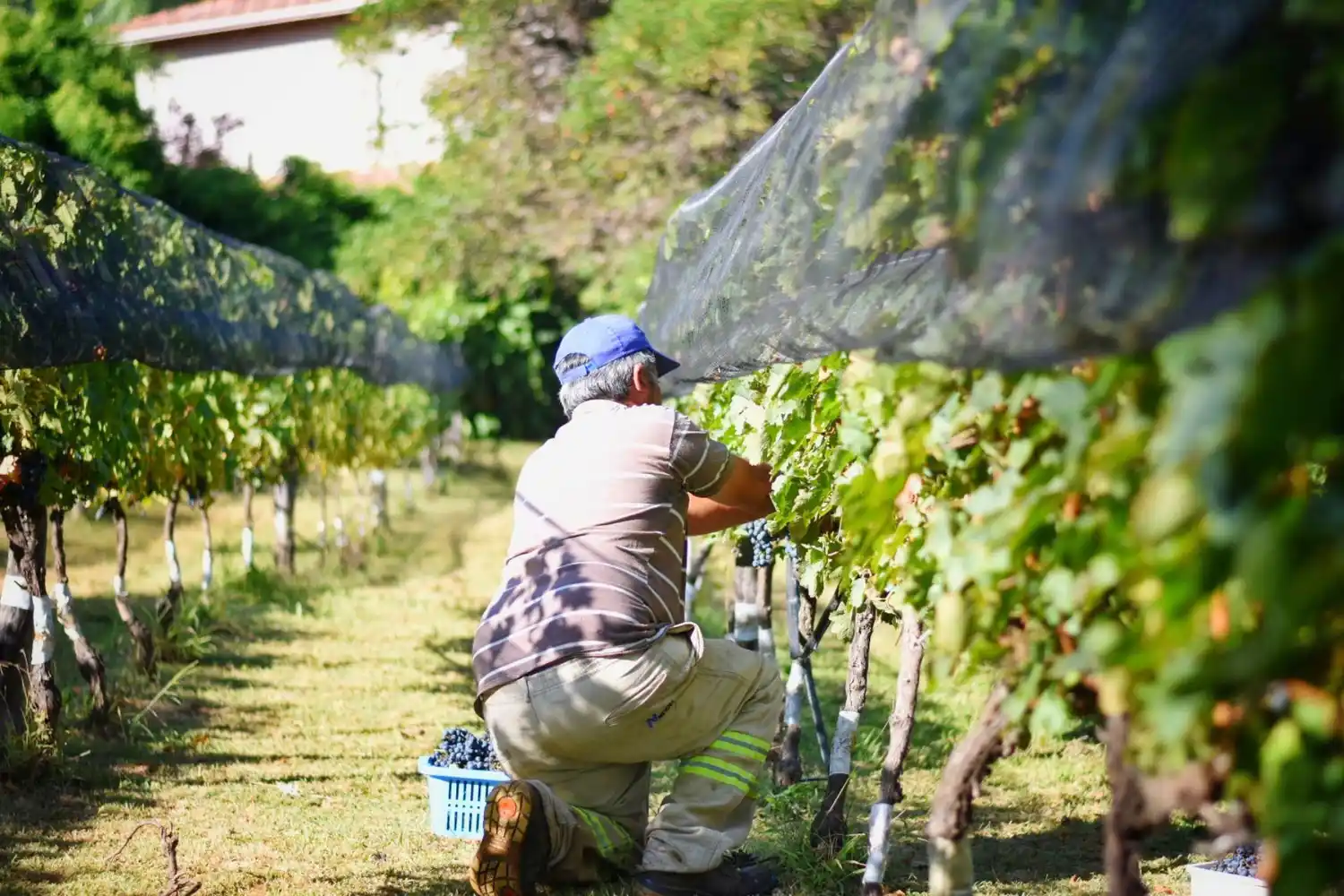 Entre Ríos impulsa la calidad turística en bodegas y establecimientos productivos