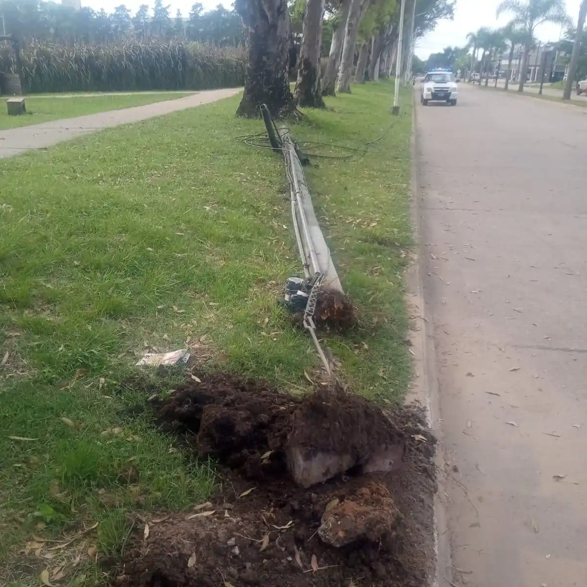 Se cayó un poste con cables de fibra óptica en San Martín y Tofalo
